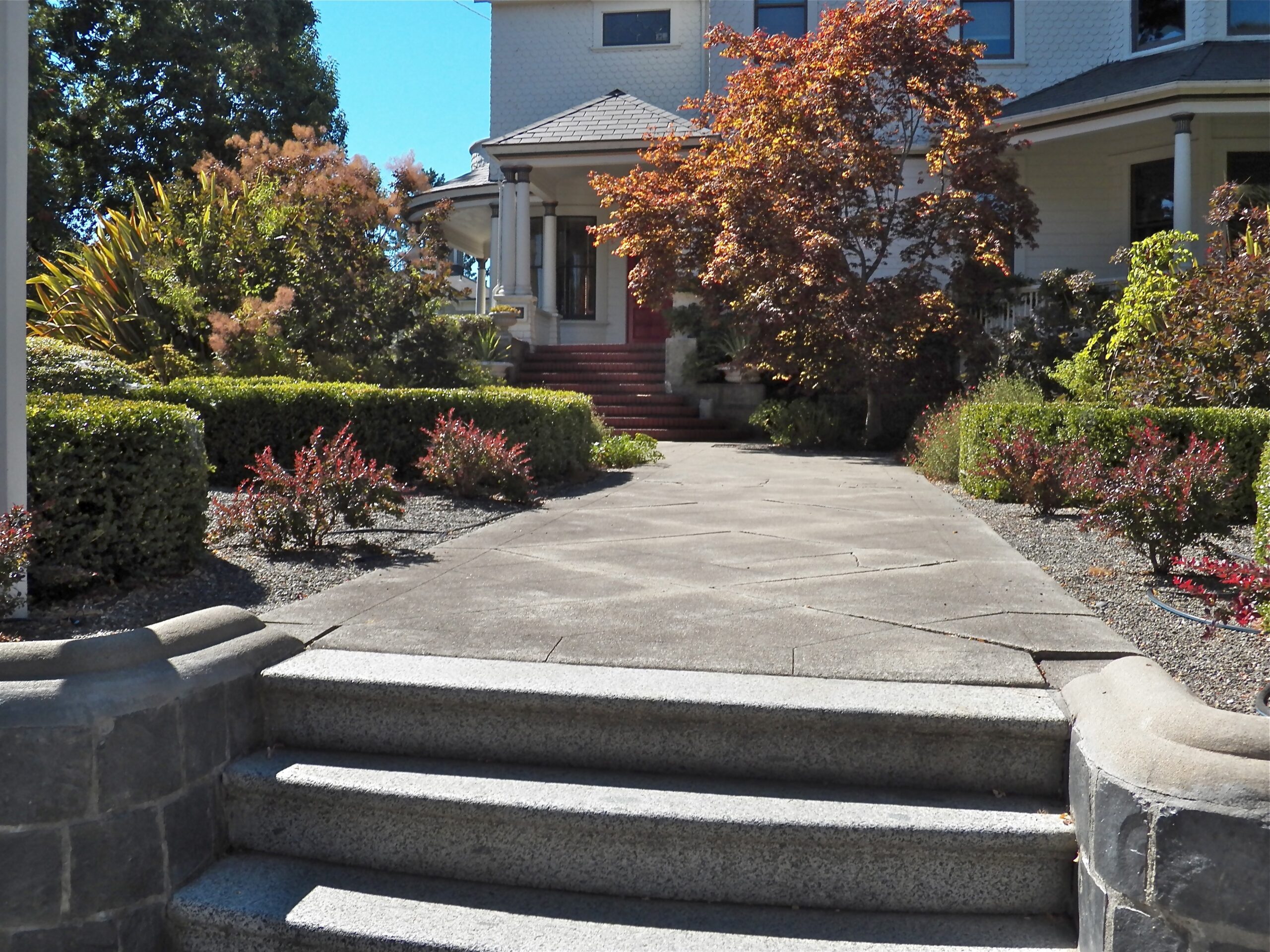 babylass pathway 244494